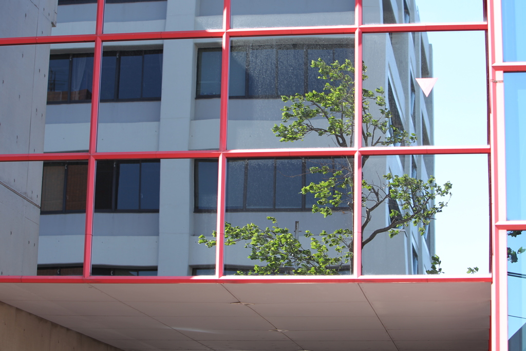 まるで鏡のような窓