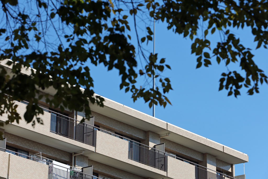 梢越しのマンション