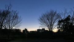 公園 夜景