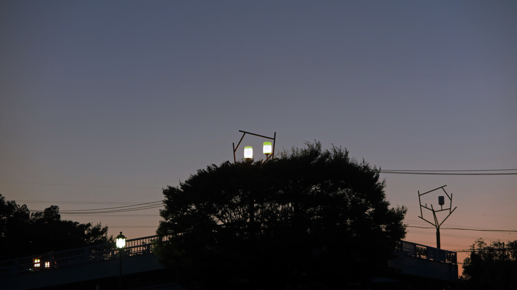 公園の灯り