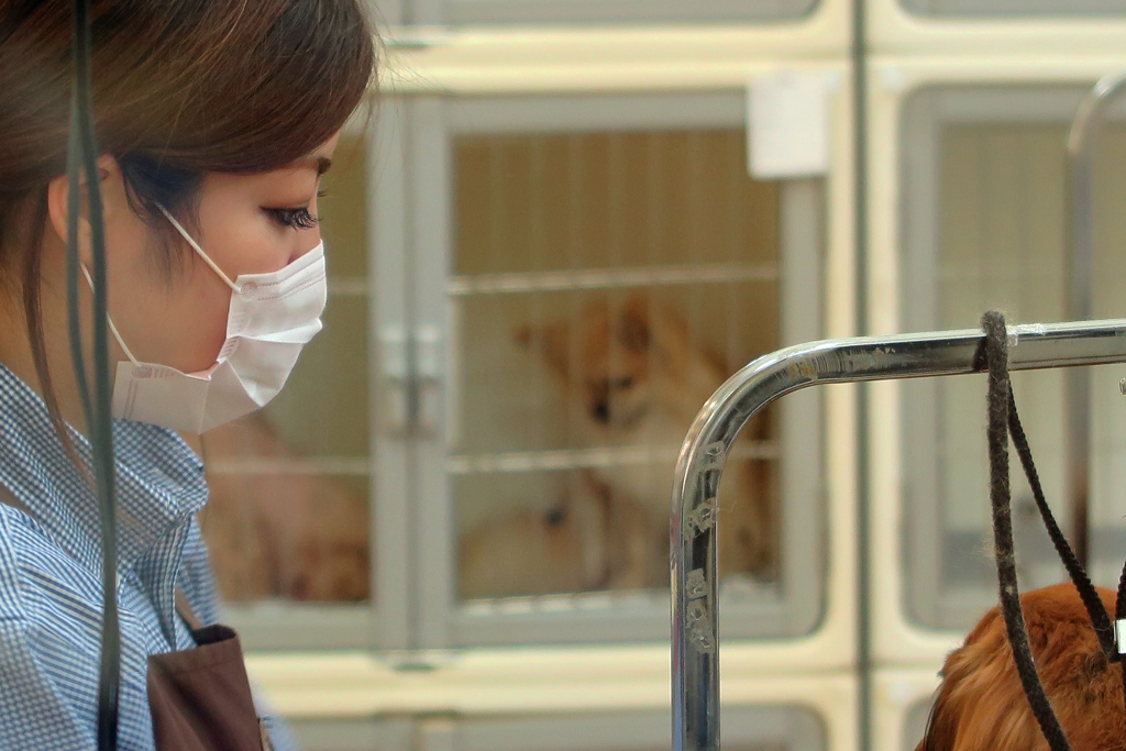 早くトリミングの順番こないかなー