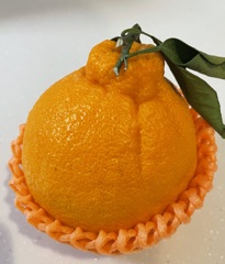 不知火