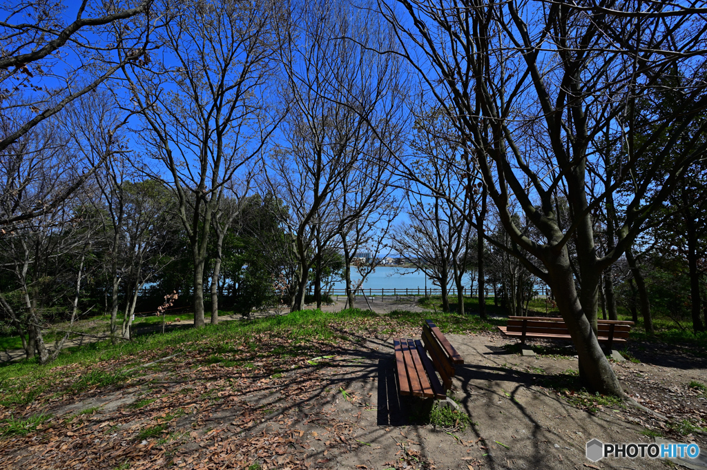 コロナウイルスで　誰も居ない公園