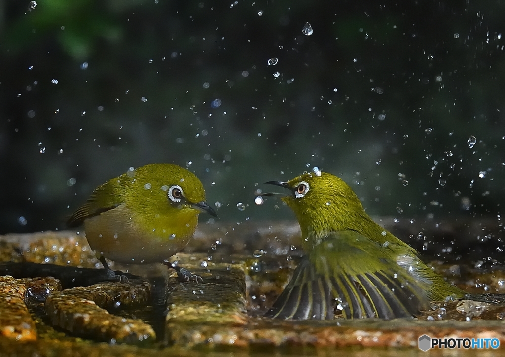 一緒に入ろうよ　気持ちいいよ