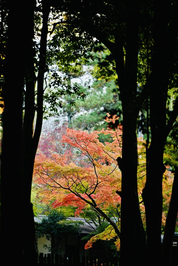 朝活写真