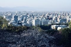 グッドモーニング松山市