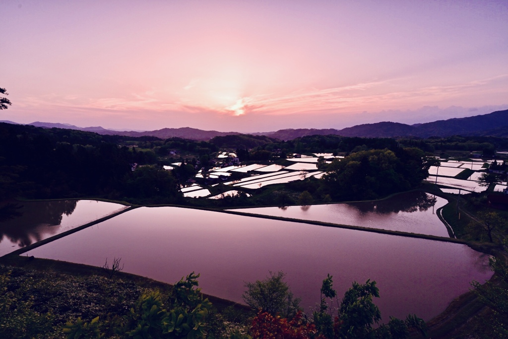 福頼棚田
