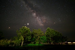 松の木と天の川