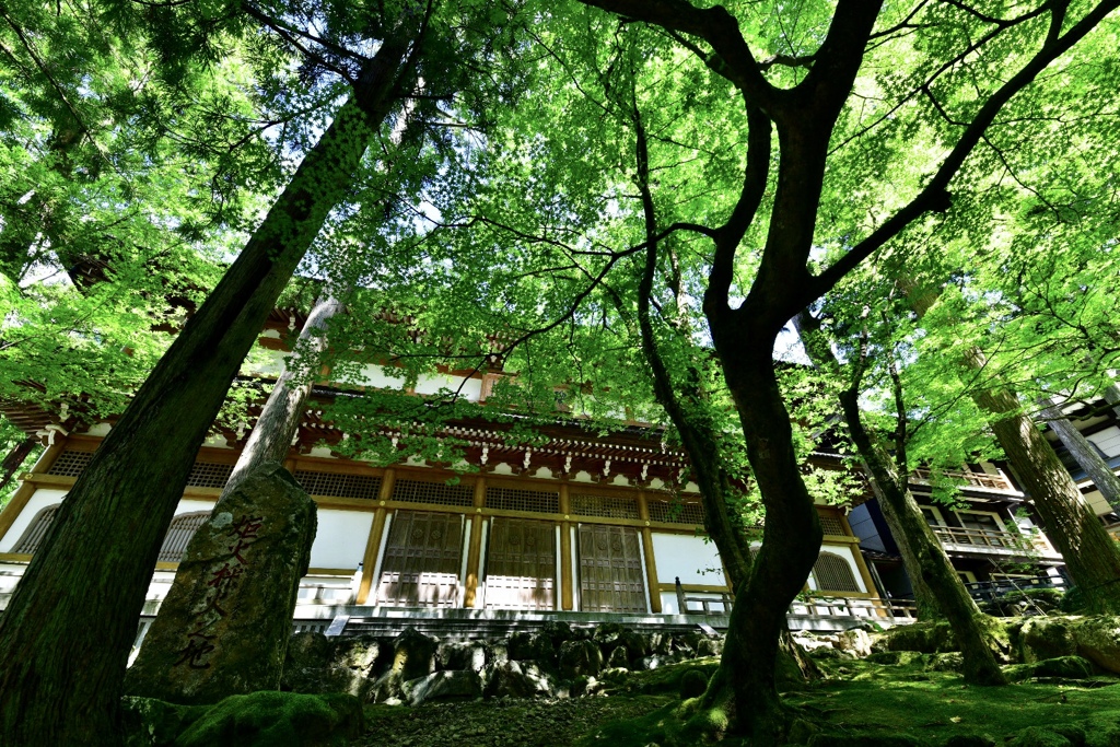 永平寺門前