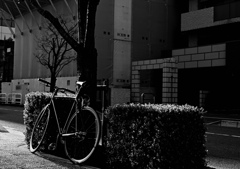 松山市内の自転車