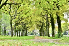 鶴見緑地公園