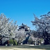 松山城と桜