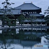 大仏殿と鏡池
