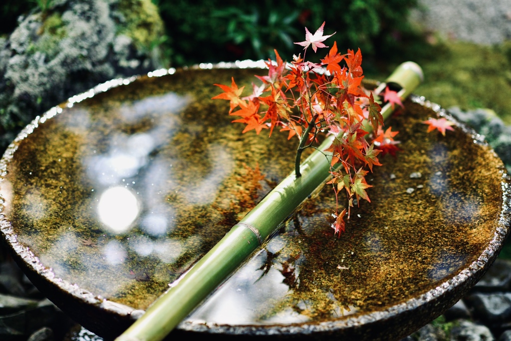 漲水