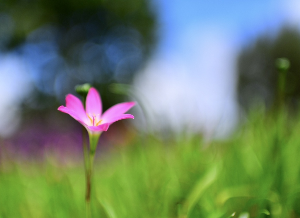 山田池公園にて