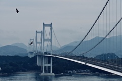 しまなみ海道とトンビ