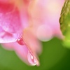 水滴