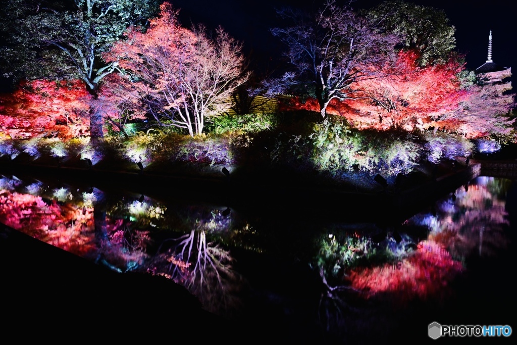 東寺ライトアップ