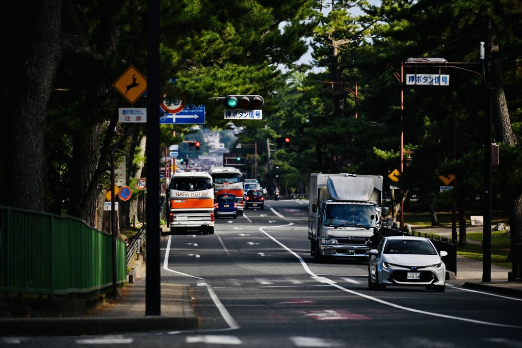 奈良街道