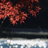 碓氷湖の紅葉
