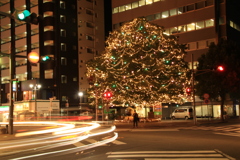 街角クリスマスツリー