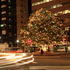 街角クリスマスツリー