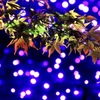 紅葉ナイト　①