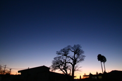 夕暮れ時 1