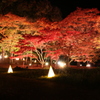 紅葉ナイト　②