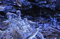 氷る杉の落ち葉