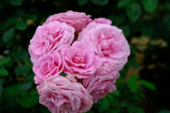 花束