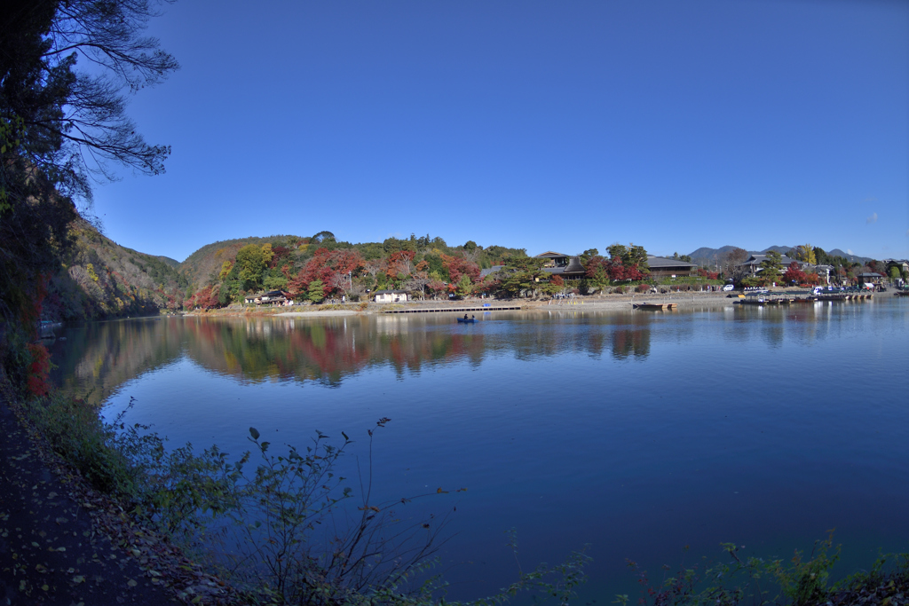 朝の桂川