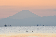 千葉の海岸から