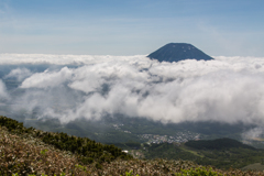蝦夷富士羊蹄山と雲海