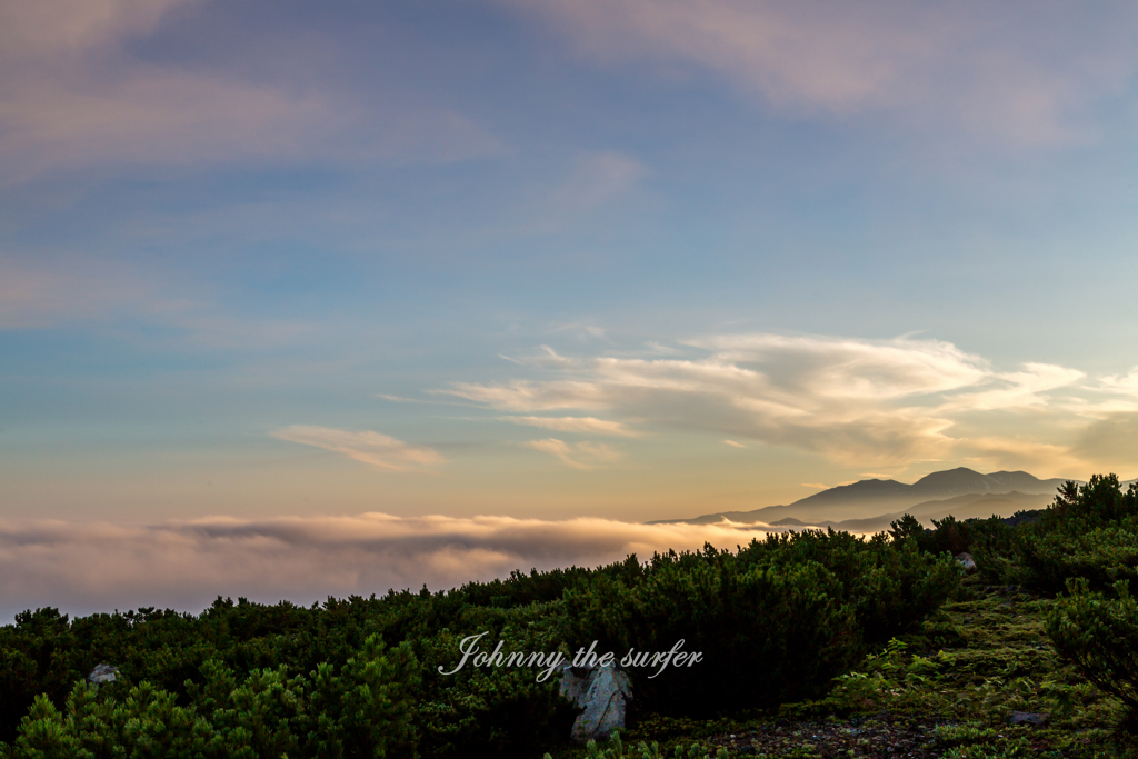 十勝岳望岳台からの雲海