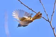 一回転半捻り飛び！