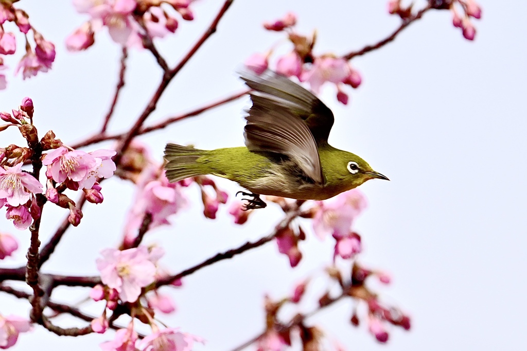 次行きま〜す！