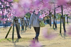 前から撮りたかった