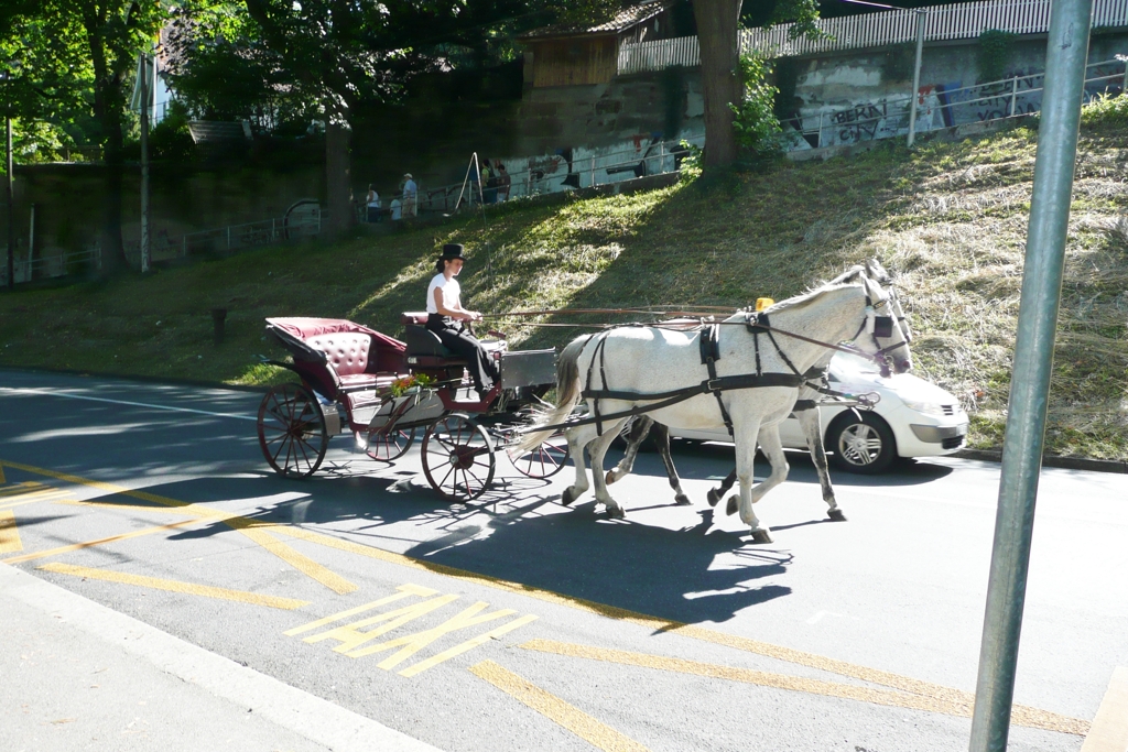 車も馬車も平等に