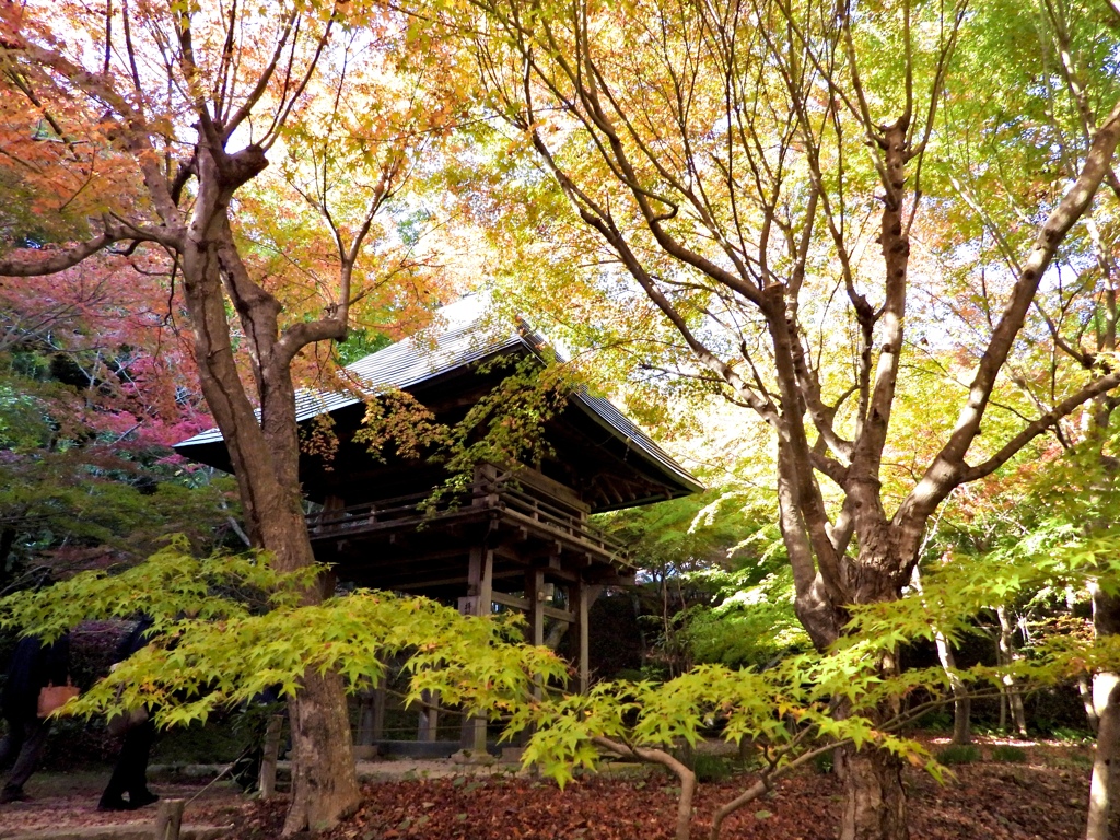 山門を彩る紅葉