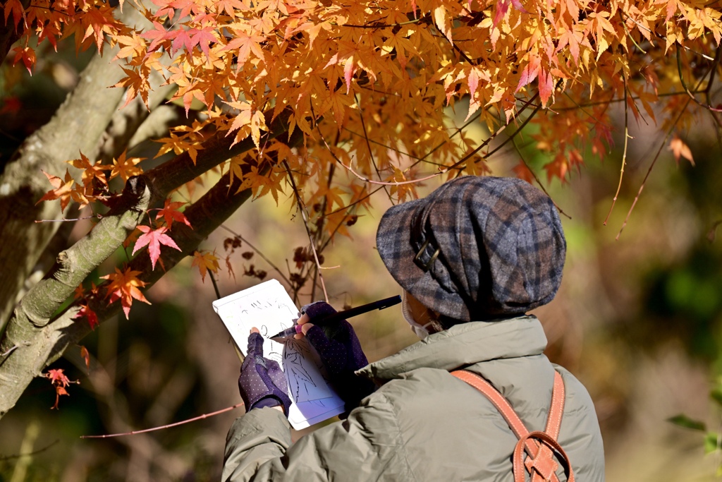 紅葉をスケッチする人