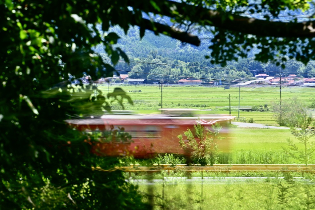 遠い夏の日の思い出