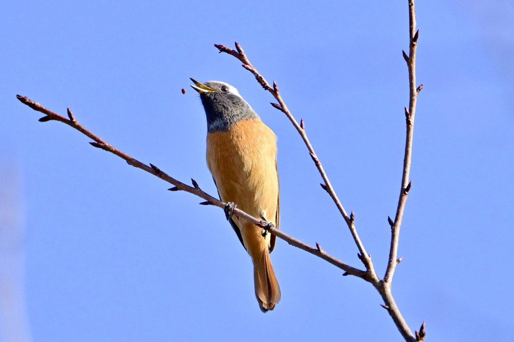 あ〜落としちゃった！