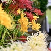 賑やかな花園