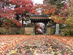 古刹の秋