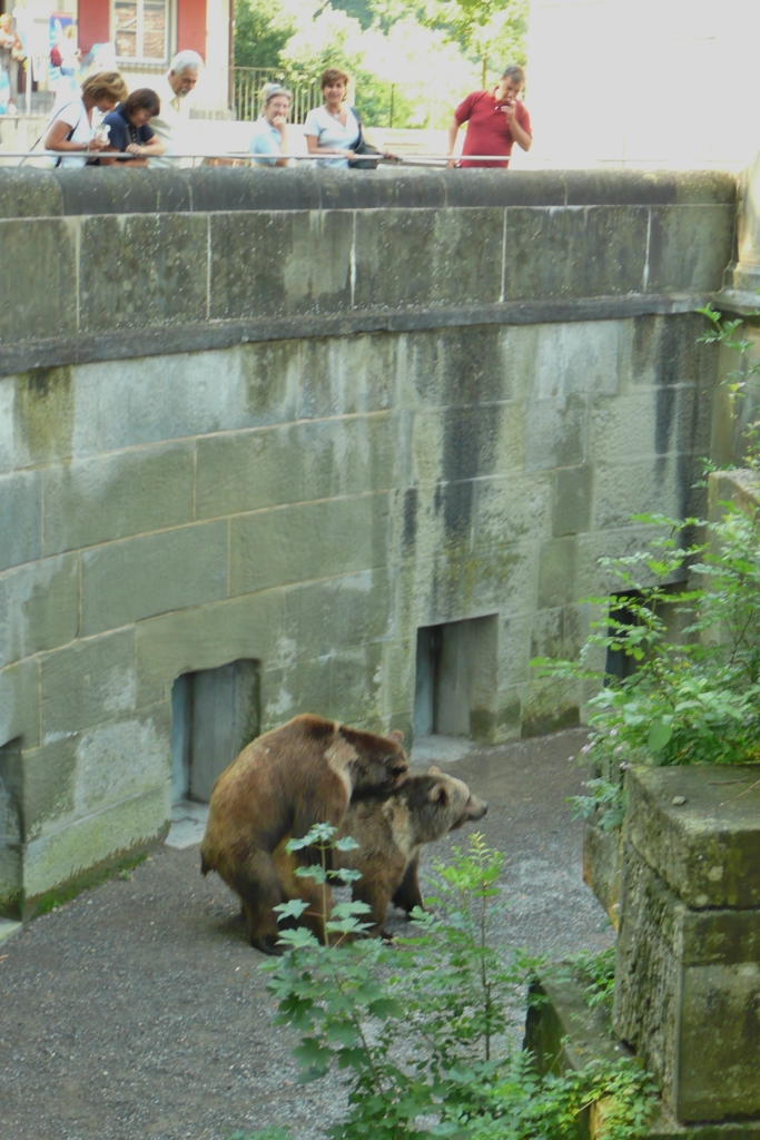 動物園の出来事