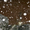 今朝の雪‼︎