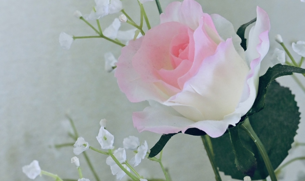 薔薇とかすみ草