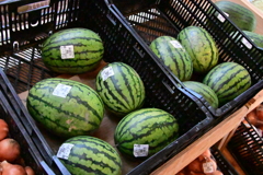 小さなスイカ販売中