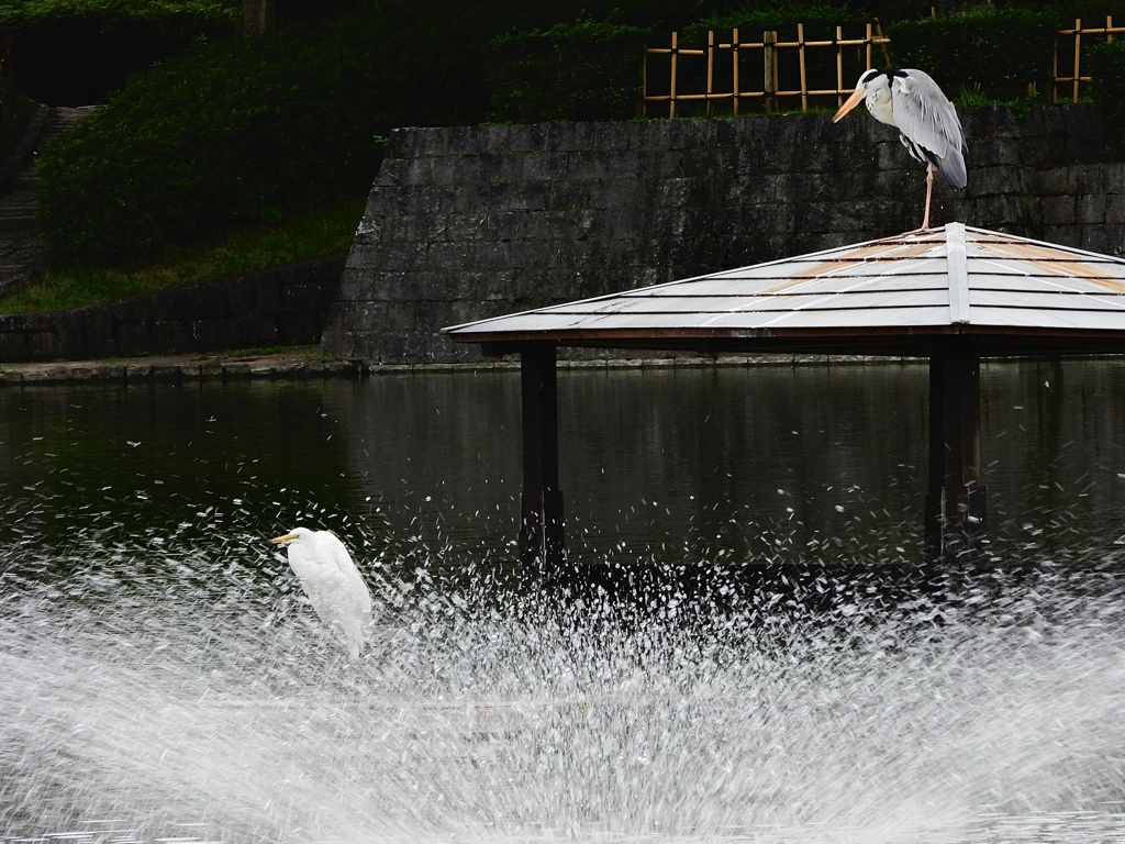 涼しいな〜
